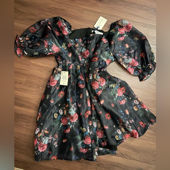 NWT JessaKae Polly Dress (2X) - Picture 11 of 12